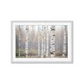 Picture of Birch forest in fog II _GroupedProduct_Rectangle_Landscape_Photography _GroupedProduct_Rectangle_Landscape_Framed_Matted_