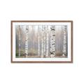 Picture of Birch forest in fog II _GroupedProduct_Rectangle_Landscape_Photography _GroupedProduct_Rectangle_Landscape_Framed_Matted_
