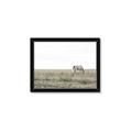 Picture of Midmorning Break  _GroupedProduct_Rectangle_Landscape_Photography _GroupedProduct_Rectangle_Landscape_Framed_Matted_