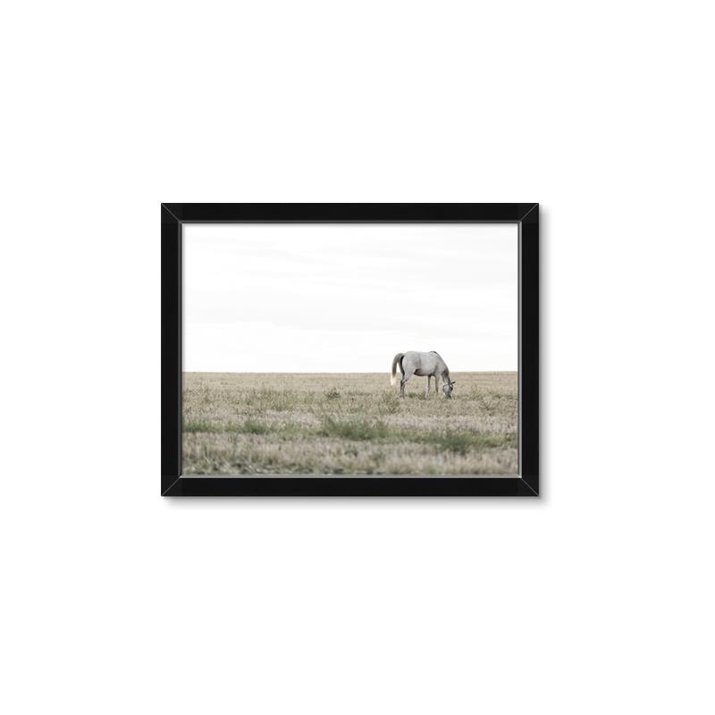 Picture of Midmorning Break  _GroupedProduct_Rectangle_Landscape_Photography _GroupedProduct_Rectangle_Landscape_Framed_Matted_