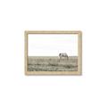 Picture of Midmorning Break  _GroupedProduct_Rectangle_Landscape_Photography _GroupedProduct_Rectangle_Landscape_Framed_Matted_