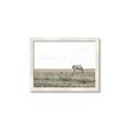 Picture of Midmorning Break  _GroupedProduct_Rectangle_Landscape_Photography _GroupedProduct_Rectangle_Landscape_Framed_Matted_