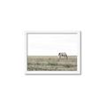 Picture of Midmorning Break  _GroupedProduct_Rectangle_Landscape_Photography _GroupedProduct_Rectangle_Landscape_Framed_Matted_