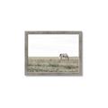 Picture of Midmorning Break  _GroupedProduct_Rectangle_Landscape_Photography _GroupedProduct_Rectangle_Landscape_Framed_Matted_