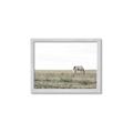 Picture of Midmorning Break  _GroupedProduct_Rectangle_Landscape_Photography _GroupedProduct_Rectangle_Landscape_Framed_Matted_