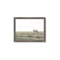 Picture of Midmorning Break  _GroupedProduct_Rectangle_Landscape_Photography _GroupedProduct_Rectangle_Landscape_Framed_Matted_