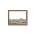 Picture of Midmorning Break  _GroupedProduct_Rectangle_Landscape_Photography _GroupedProduct_Rectangle_Landscape_Framed_Matted_