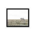 Picture of Midmorning Break  _GroupedProduct_Rectangle_Landscape_Photography _GroupedProduct_Rectangle_Landscape_Framed_Matted_