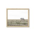 Picture of Midmorning Break  _GroupedProduct_Rectangle_Landscape_Photography _GroupedProduct_Rectangle_Landscape_Framed_Matted_
