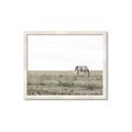 Picture of Midmorning Break  _GroupedProduct_Rectangle_Landscape_Photography _GroupedProduct_Rectangle_Landscape_Framed_Matted_