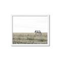 Picture of Midmorning Break  _GroupedProduct_Rectangle_Landscape_Photography _GroupedProduct_Rectangle_Landscape_Framed_Matted_