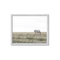 Picture of Midmorning Break  _GroupedProduct_Rectangle_Landscape_Photography _GroupedProduct_Rectangle_Landscape_Framed_Matted_
