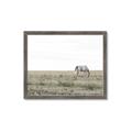 Picture of Midmorning Break  _GroupedProduct_Rectangle_Landscape_Photography _GroupedProduct_Rectangle_Landscape_Framed_Matted_