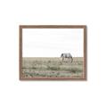 Picture of Midmorning Break  _GroupedProduct_Rectangle_Landscape_Photography _GroupedProduct_Rectangle_Landscape_Framed_Matted_