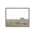 Picture of Midmorning Break  _GroupedProduct_Rectangle_Landscape_Photography _GroupedProduct_Rectangle_Landscape_Framed_Matted_