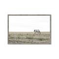Picture of Midmorning Break  _GroupedProduct_Rectangle_Landscape_Photography _GroupedProduct_Rectangle_Landscape_Framed_Matted_