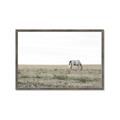 Picture of Midmorning Break  _GroupedProduct_Rectangle_Landscape_Photography _GroupedProduct_Rectangle_Landscape_Framed_Matted_