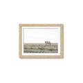 Picture of Midmorning Break  _GroupedProduct_Rectangle_Landscape_Photography _GroupedProduct_Rectangle_Landscape_Framed_Matted_