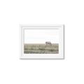 Picture of Midmorning Break  _GroupedProduct_Rectangle_Landscape_Photography _GroupedProduct_Rectangle_Landscape_Framed_Matted_