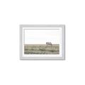 Picture of Midmorning Break  _GroupedProduct_Rectangle_Landscape_Photography _GroupedProduct_Rectangle_Landscape_Framed_Matted_