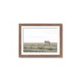 Picture of Midmorning Break  _GroupedProduct_Rectangle_Landscape_Photography _GroupedProduct_Rectangle_Landscape_Framed_Matted_