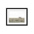 Picture of Midmorning Break  _GroupedProduct_Rectangle_Landscape_Photography _GroupedProduct_Rectangle_Landscape_Framed_Matted_