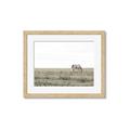Picture of Midmorning Break  _GroupedProduct_Rectangle_Landscape_Photography _GroupedProduct_Rectangle_Landscape_Framed_Matted_