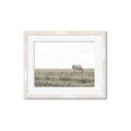 Picture of Midmorning Break  _GroupedProduct_Rectangle_Landscape_Photography _GroupedProduct_Rectangle_Landscape_Framed_Matted_