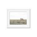 Picture of Midmorning Break  _GroupedProduct_Rectangle_Landscape_Photography _GroupedProduct_Rectangle_Landscape_Framed_Matted_