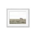 Picture of Midmorning Break  _GroupedProduct_Rectangle_Landscape_Photography _GroupedProduct_Rectangle_Landscape_Framed_Matted_