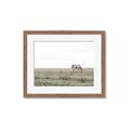 Picture of Midmorning Break  _GroupedProduct_Rectangle_Landscape_Photography _GroupedProduct_Rectangle_Landscape_Framed_Matted_