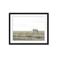 Picture of Midmorning Break  _GroupedProduct_Rectangle_Landscape_Photography _GroupedProduct_Rectangle_Landscape_Framed_Matted_