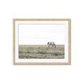 Picture of Midmorning Break  _GroupedProduct_Rectangle_Landscape_Photography _GroupedProduct_Rectangle_Landscape_Framed_Matted_