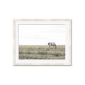 Picture of Midmorning Break  _GroupedProduct_Rectangle_Landscape_Photography _GroupedProduct_Rectangle_Landscape_Framed_Matted_