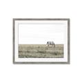 Picture of Midmorning Break  _GroupedProduct_Rectangle_Landscape_Photography _GroupedProduct_Rectangle_Landscape_Framed_Matted_