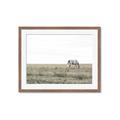 Picture of Midmorning Break  _GroupedProduct_Rectangle_Landscape_Photography _GroupedProduct_Rectangle_Landscape_Framed_Matted_