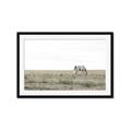 Picture of Midmorning Break  _GroupedProduct_Rectangle_Landscape_Photography _GroupedProduct_Rectangle_Landscape_Framed_Matted_