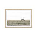 Picture of Midmorning Break  _GroupedProduct_Rectangle_Landscape_Photography _GroupedProduct_Rectangle_Landscape_Framed_Matted_