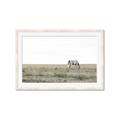 Picture of Midmorning Break  _GroupedProduct_Rectangle_Landscape_Photography _GroupedProduct_Rectangle_Landscape_Framed_Matted_
