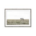 Picture of Midmorning Break  _GroupedProduct_Rectangle_Landscape_Photography _GroupedProduct_Rectangle_Landscape_Framed_Matted_