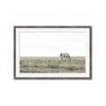 Picture of Midmorning Break  _GroupedProduct_Rectangle_Landscape_Photography _GroupedProduct_Rectangle_Landscape_Framed_Matted_