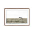 Picture of Midmorning Break  _GroupedProduct_Rectangle_Landscape_Photography _GroupedProduct_Rectangle_Landscape_Framed_Matted_