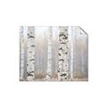 Picture of Birch forest in fog I _GroupedProduct_Rectangle_Landscape_Photography _GroupedProduct_Rectangle_Landscape_Unframed_Print_Only_