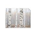 Picture of Birch forest in fog I _GroupedProduct_Rectangle_Landscape_Photography _GroupedProduct_Rectangle_Landscape_Unframed_Print_Only_