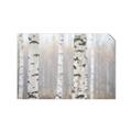 Picture of Birch forest in fog I _GroupedProduct_Rectangle_Landscape_Photography _GroupedProduct_Rectangle_Landscape_Unframed_Print_Only_