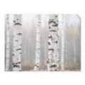 Picture of Birch forest in fog I _GroupedProduct_Rectangle_Landscape_Photography _GroupedProduct_Rectangle_Landscape_Unframed_Print_Only_
