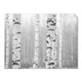 Picture of Birch forest in fog I _GroupedProduct_Rectangle_Landscape_Photography _GroupedProduct_Rectangle_Landscape_Unframed_Print_Only_