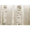 Picture of Birch forest in fog I _GroupedProduct_Rectangle_Landscape_Photography _GroupedProduct_Rectangle_Landscape_Unframed_Print_Only_