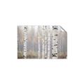 Picture of Birch forest in fog II _GroupedProduct_Rectangle_Landscape_Photography _GroupedProduct_Rectangle_Landscape_Unframed_Print_Only_