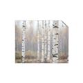 Picture of Birch forest in fog II _GroupedProduct_Rectangle_Landscape_Photography _GroupedProduct_Rectangle_Landscape_Unframed_Print_Only_